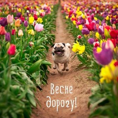 Что будет в начале?