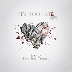 It's Too Late Feat. Sean Terrell
