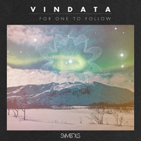 Vindata - All I Really Need (Ft. Kenzie May)