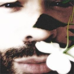 Gabo Ferro: Sobre Madera Rosa