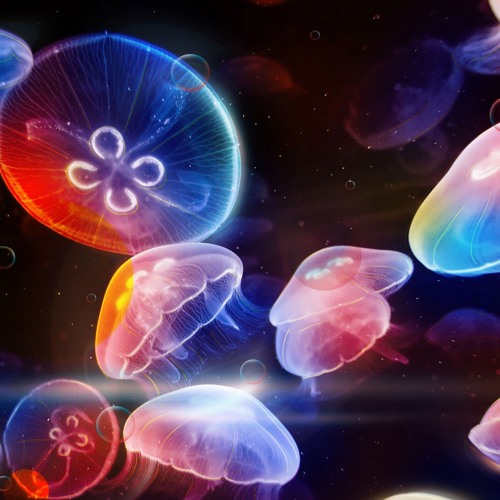 Psyvolution - psychedelic sea dreams