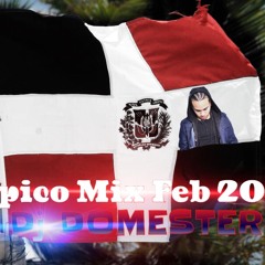 Tipico dominicano feb mix - Dj Domester