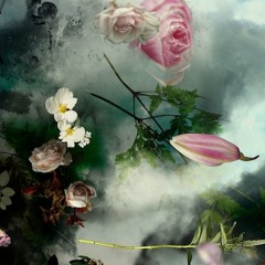 Side B: And Dreams Of The Evening