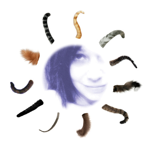 12 Tails LP