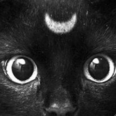 CatwalK (Original Mix) - Darwin