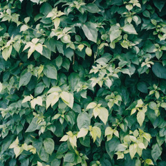 Lòng bàn tay mở ra tròn xoay