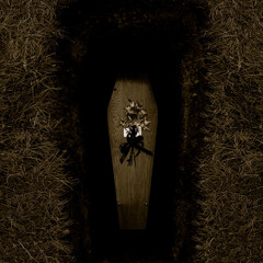 Forever In My Mind (Last Re-Edit)