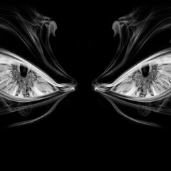 Terrorist (Original Mix)
