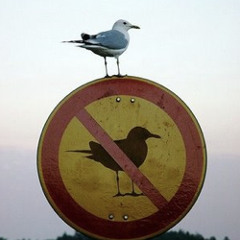 Don´t Break The Rule