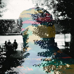 Plastic Flowers - Summertime Pop