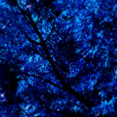 Blueberry (instrumental)