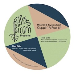 A1 - Mike Gill & Taymor Zadeh - Coppin' A Feel - RFBR006