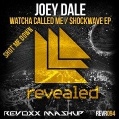 David Guetta feat Skylar Grey vs Joey Dale - Call Me Down (Revoxx Mashup)