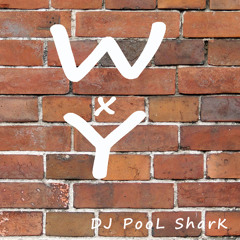 WXY -CITY HUNTER MIX- by DJ PooL SharK