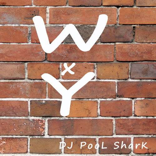 WXY -CITY HUNTER MIX- by DJ PooL SharK