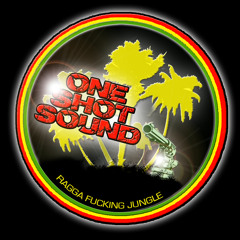 Pon-Roborobo-DUB REMIX-ONE SHOT SOUND.Dub Spirit Riddim.