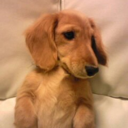 Stream L Arc En Ciel Ready Steady Go Cover By Matsum17 Listen Online For Free On Soundcloud