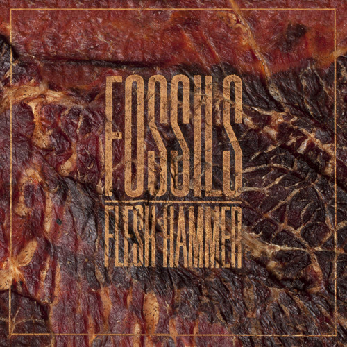 fossils-pelvis-crust