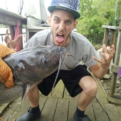 Word On The Streets Snippet Bird Wally Verse