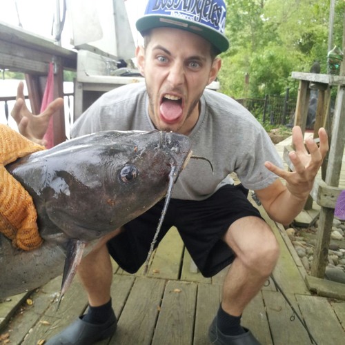 Word On The Streets Snippet Bird Wally Verse