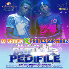 Dj Sanick Feat. Professor Marz - Pedifile - Don(1)Prod - Pree Mix Vol.1