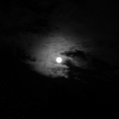 RedSick - Midnight Trap