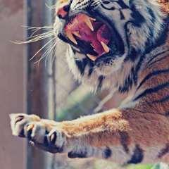 She Doesn't Mind(ZecKRowZ Ft All Street Dj)