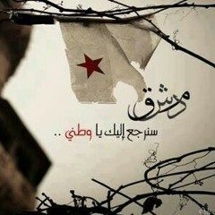 موطيني-وصفي المعصراني