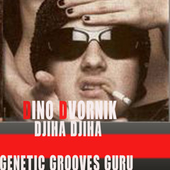 DINO DVORNIK-DJIHA DJIHA GENETIC GROOVES GURU (SEX MIX)