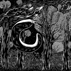 [10LP1] Organon - Orion III | Chilli Space 10