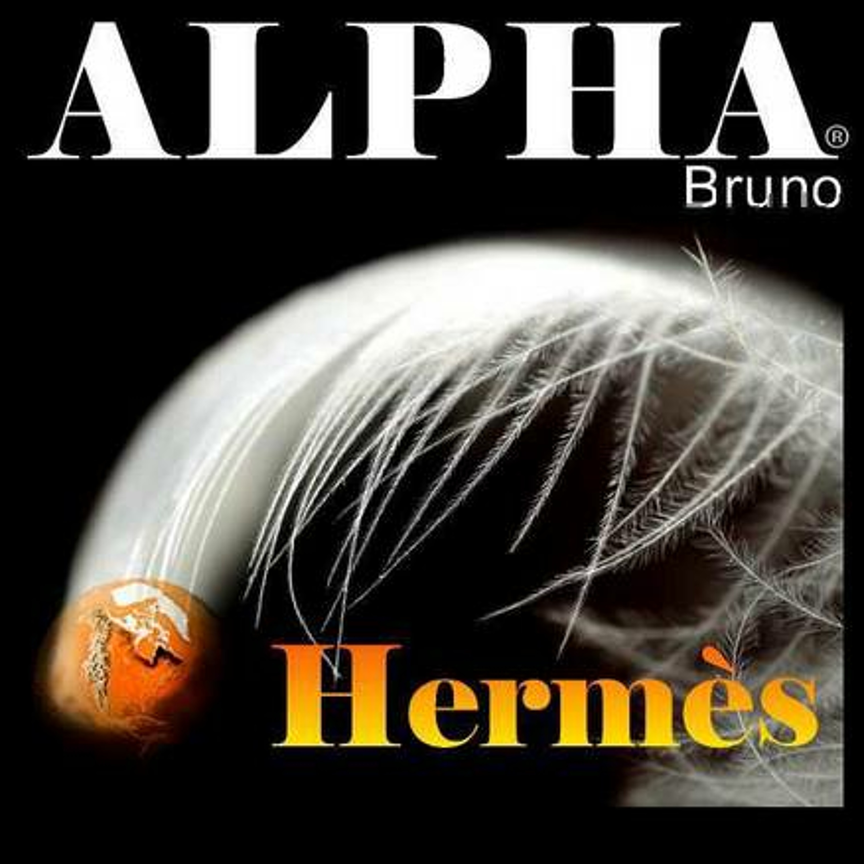 Bruno Alpha