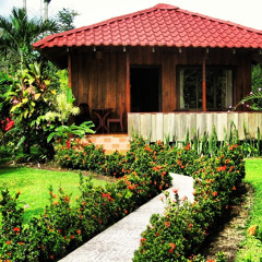 Mix #1: Harmonic Convergence