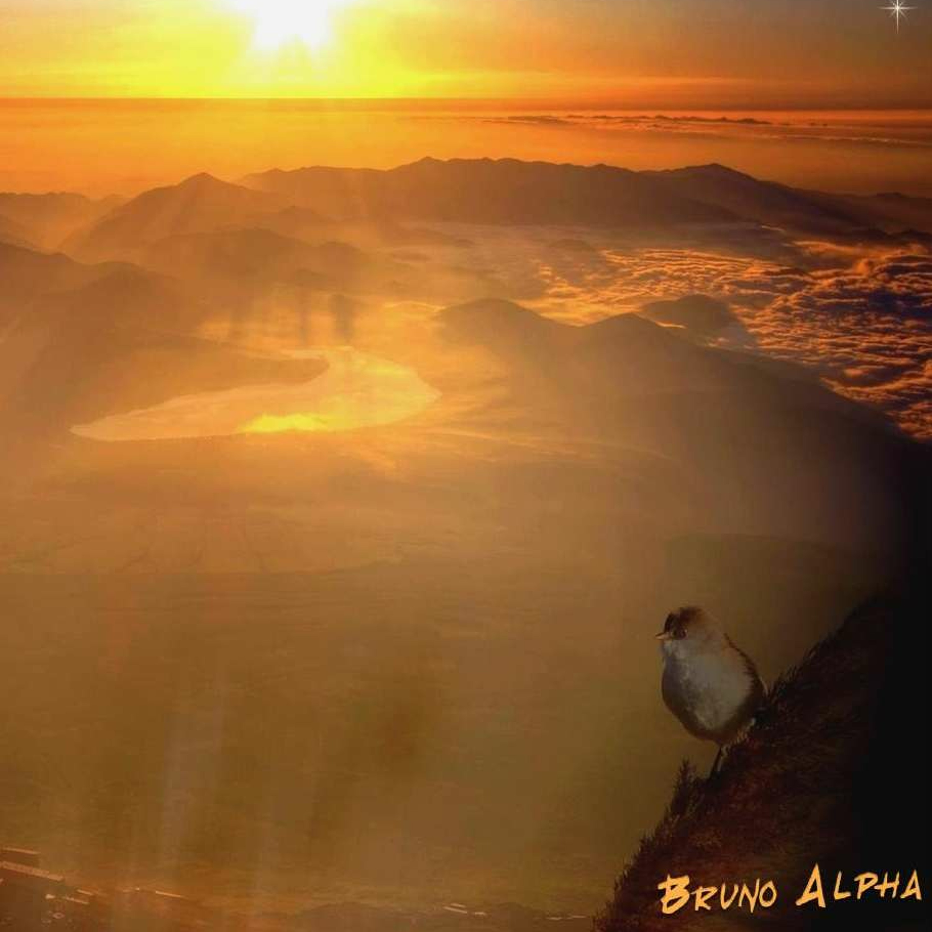 Bruno Alpha