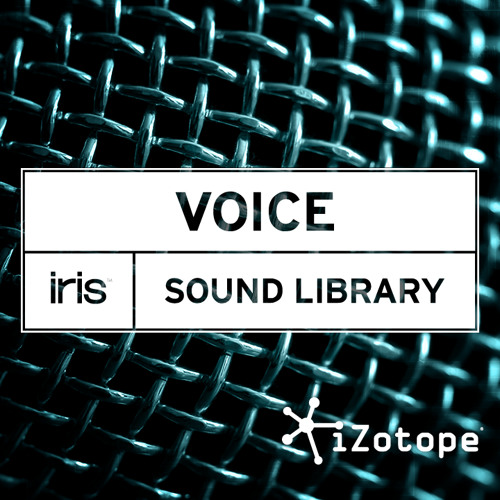 iZotope Iris: Voice Library Percussion Examples