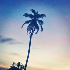 Cruisin' Sippin' Smokin' Ft. Javie Baby