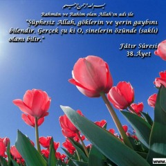 Ender Doğan & Veysel Dalsaldı - Abidan-ı Mustafayız