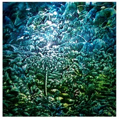 MonophoriX-Master Peace