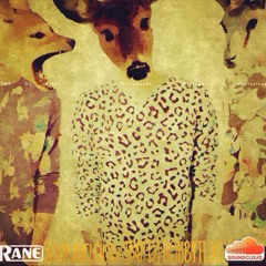 TMP DJ Bobby Flirt - Mixtape`s & Exclusive´s