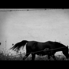 The Be Good Tanyas - Horses (Beat Syndrome Remix)