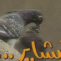 تتر نهاية مسلسل البشاير