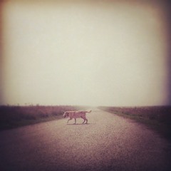 Today Is Just a Daydream (Remastered)