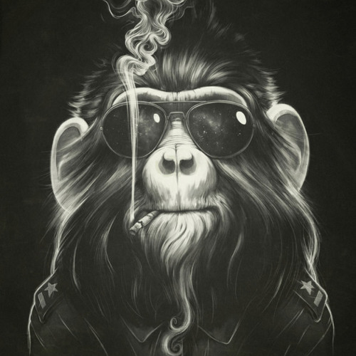 Gvfa-My monkey smokes Ganja ╰დ╮ॐ╭დ╯