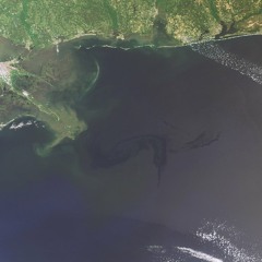 2 1 -- (1 2 step remix)