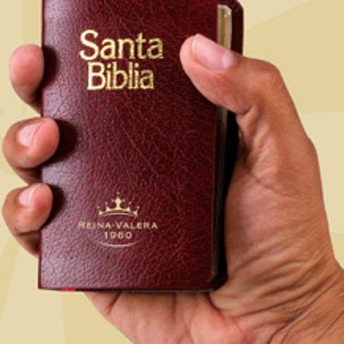 eficacia Arbitraje medida Stream Proverbios - La Santa Biblia, Reina Valera, Audio; Mp3 by My brother  Wilmer | Listen online for free on SoundCloud