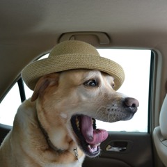 [lovesosabootlegtrashmix]