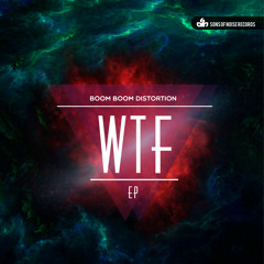 Boom Boom Distortion-WTF (Out Now on Sons of Noise)