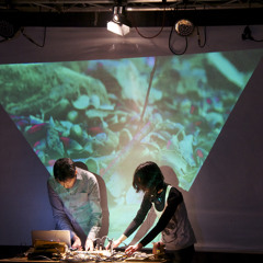 Arta & Spells Disaster - Grimoire