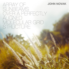 Array of Sunbeams Over a Perfectly Aligned Molecular Grid Structure