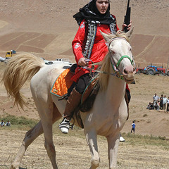 شلیل-بختیاری