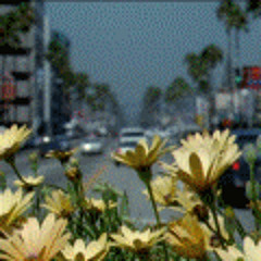 ORCATX - [My Since] (2014 - FEB) [PIANO]